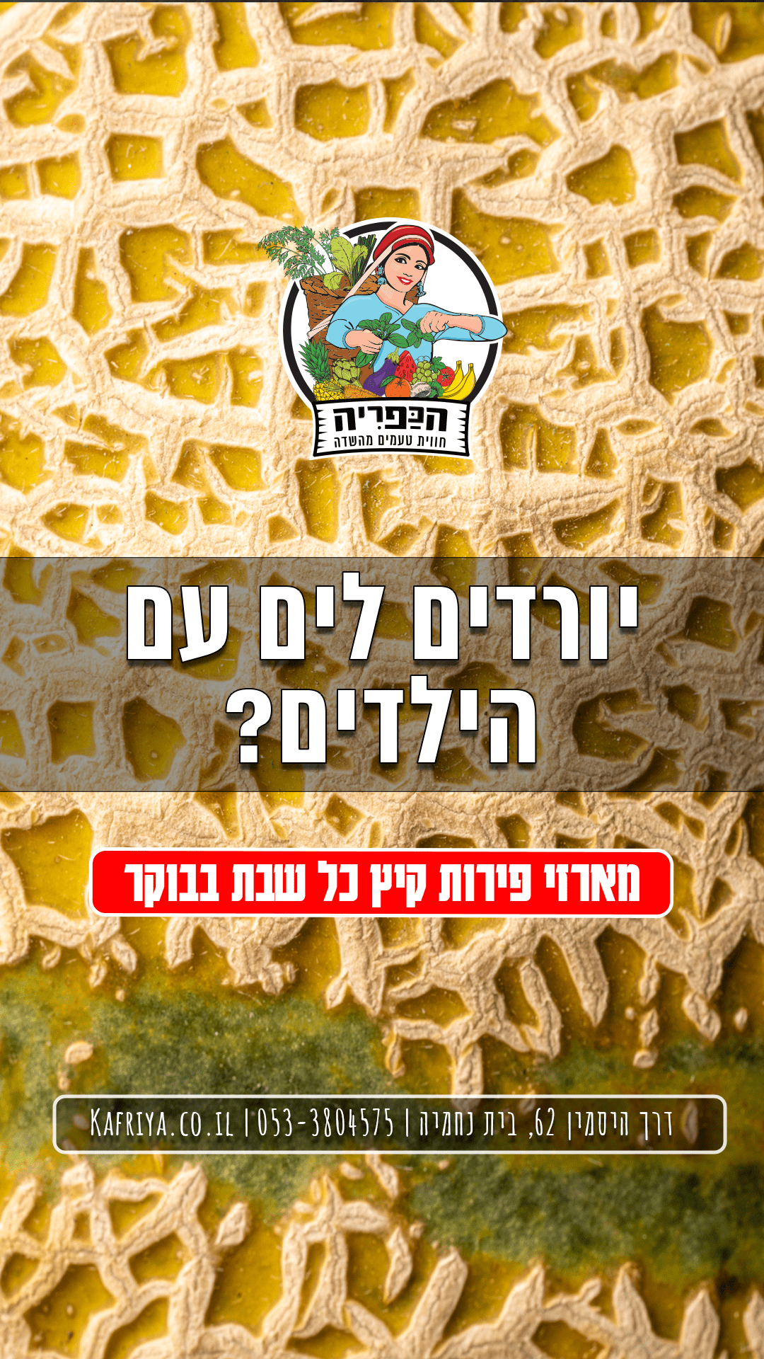 עבודת קריאייטיב H Digital